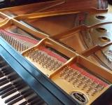 The Odessa Roerich House Museum looking forward for an individual/company willing to donate a grand piano in a good condition.