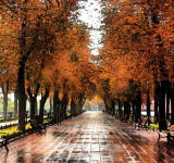 ПРИГЛАШАЕТ ОКТЯБРЬ НА ВАЛЬС. ПОЭТИЧЕСКАЯ ПРОГРАММА // 11 октября 2025 г., 14.00